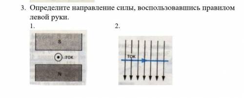  Определите направление силы, воспользовавшись правилом левой руки.​ 