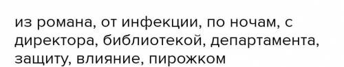 Спишите, правильно употребляя форму имени существительного. Фрагмент (романа, из романа), иммунитет