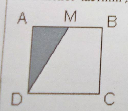 У квадраті ABCD точка Мє серединою відрізка АВ. Знайдіть площу квадрата ABCD, якщо площазатемненої ч
