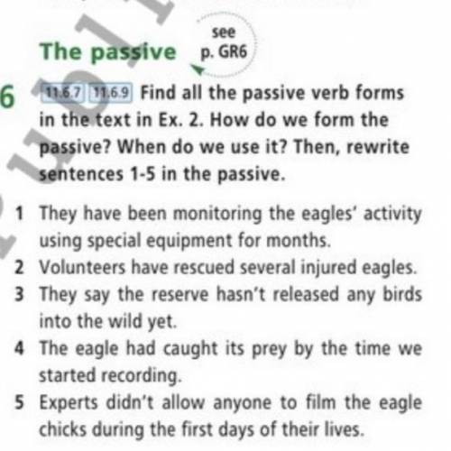 Find all the passive verb forms in the text in ex2. How do we form the passive? When do we use it? T