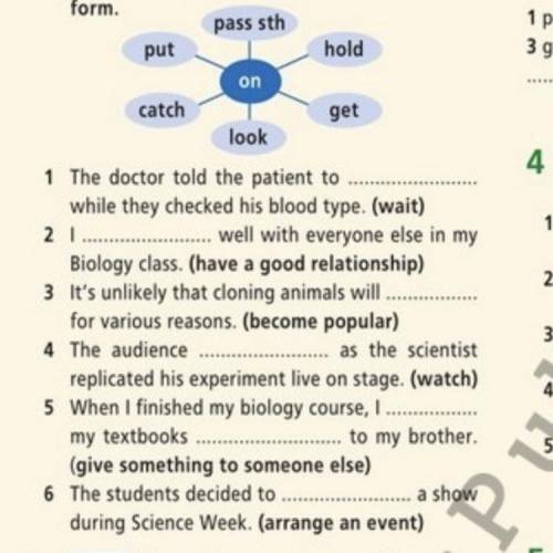 Complete the sentences with the phrasal verbs in the diagram in the correct form