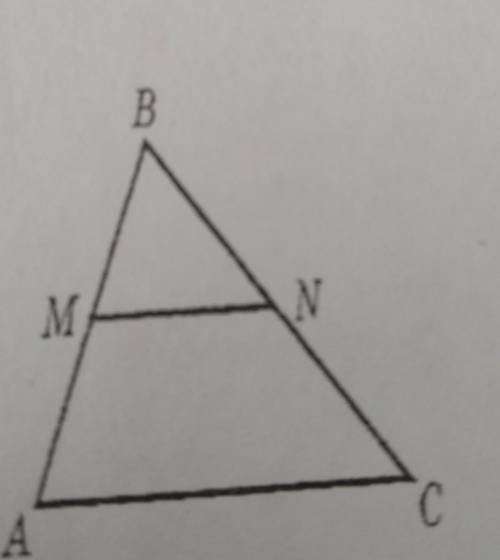 В 2°. ( ) На рисунку MN || АС. Знайти AM, якщоАВ30см, MN 5см, AC = 25см.ABT Г6см 5см 24см Визначити 