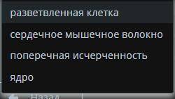 Лабораторная работа «Изучение строения мышечных тканей». Классификация мышц тела человека Определи к