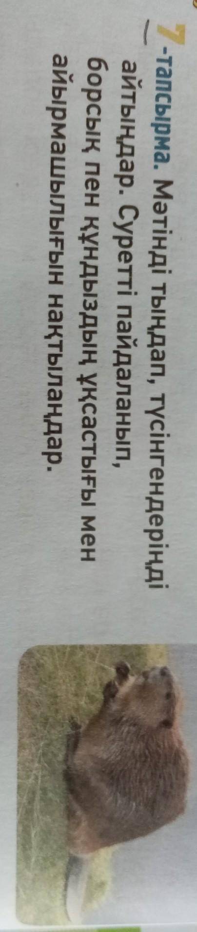 7-тапсырма. Мәтінді тыңдап, түсінгендеріңді айтыңдар. Суретті пайдаланып,борсық пен құндыздың ұқсаст