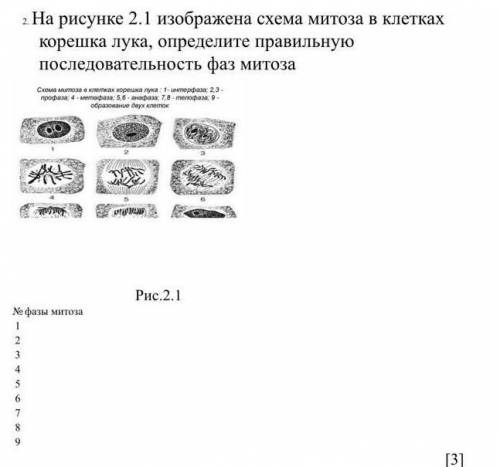 с биологией у меня соч ​