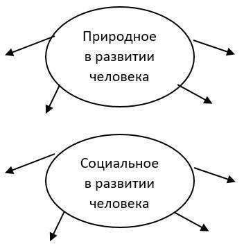 -нужно составить общую блок-схему «Состав природного и общественного в развитии человека, факторов, 