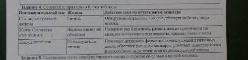 соотнесите правильно блоки таблицы пищеварительные соки,железа,действие сока на питательные вещества