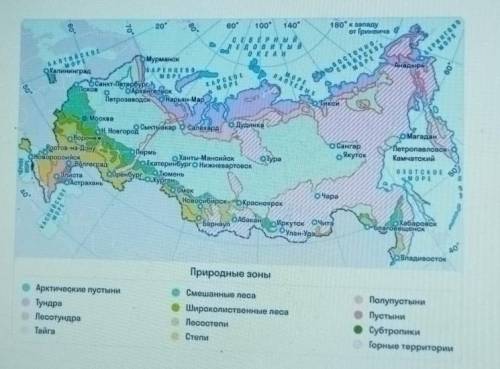 У С карты природных зон России определи положение природной зоны тайги. Между 60° с. ш. и 75° с. ш. 