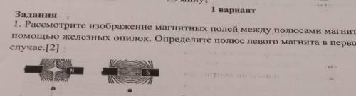 Рассмотрите изображение магнитных полей между полюсами магнитов, полученная с железных опилок. Опред